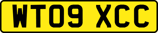 WT09XCC
