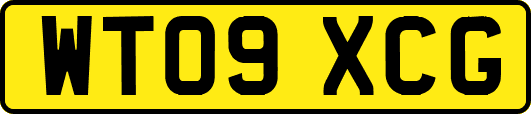 WT09XCG