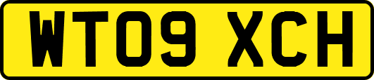 WT09XCH