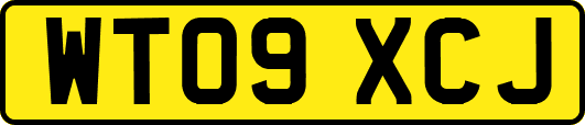 WT09XCJ