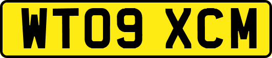 WT09XCM