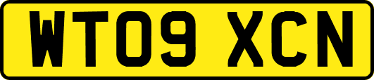 WT09XCN