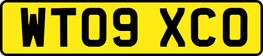 WT09XCO
