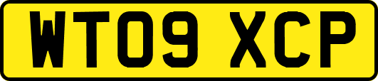 WT09XCP