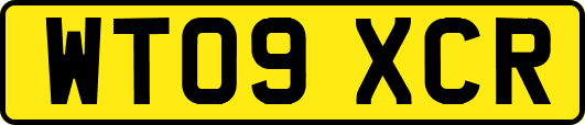 WT09XCR