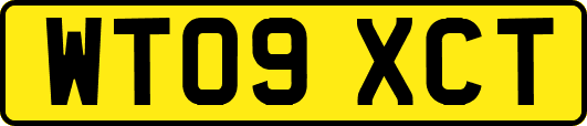 WT09XCT