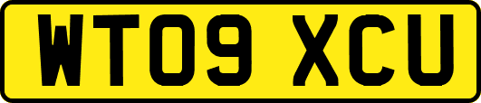 WT09XCU