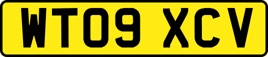 WT09XCV