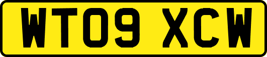 WT09XCW
