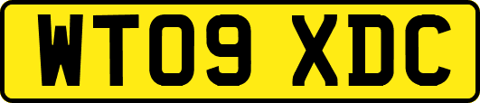 WT09XDC