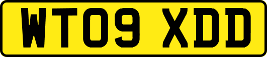 WT09XDD
