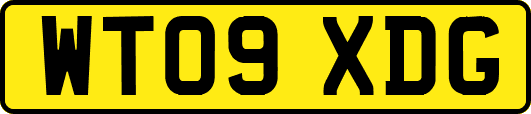 WT09XDG