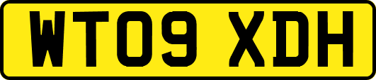 WT09XDH