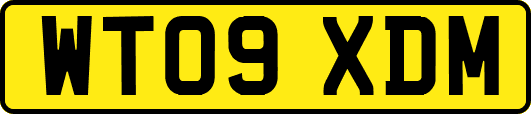 WT09XDM