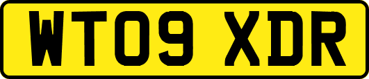 WT09XDR