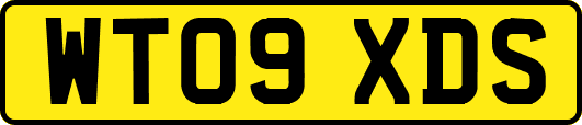 WT09XDS