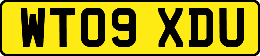 WT09XDU