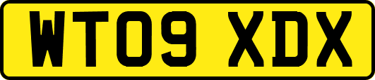 WT09XDX