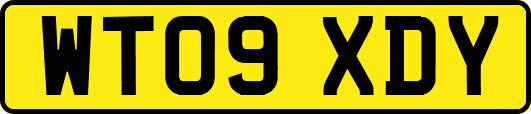 WT09XDY