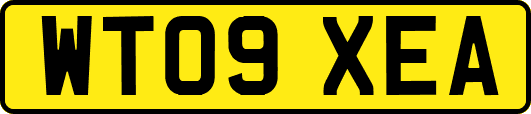WT09XEA