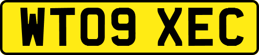 WT09XEC