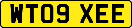 WT09XEE