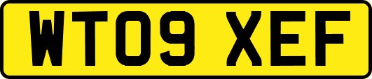 WT09XEF