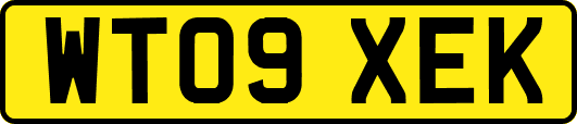 WT09XEK