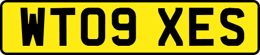 WT09XES