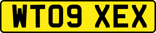 WT09XEX