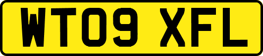 WT09XFL
