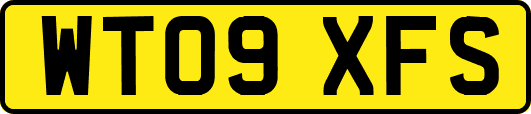 WT09XFS