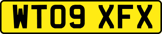 WT09XFX