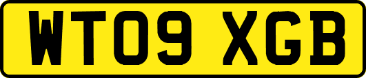 WT09XGB