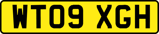 WT09XGH