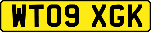 WT09XGK