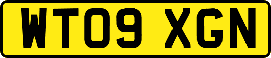 WT09XGN