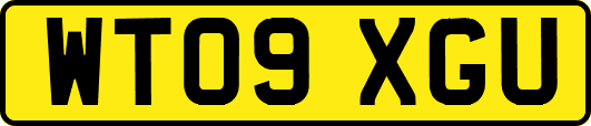 WT09XGU