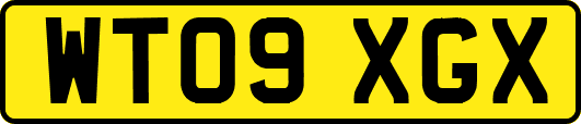 WT09XGX