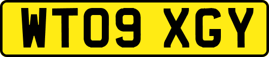 WT09XGY