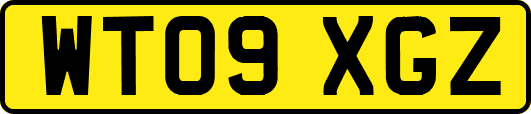 WT09XGZ