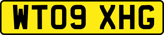 WT09XHG
