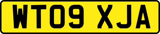 WT09XJA