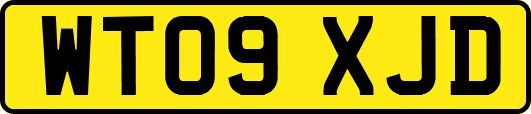 WT09XJD