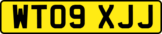 WT09XJJ