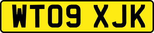 WT09XJK
