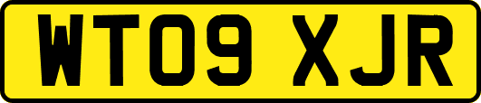 WT09XJR