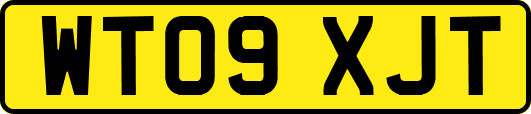 WT09XJT