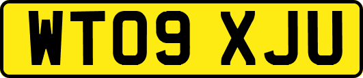 WT09XJU