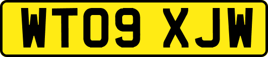WT09XJW